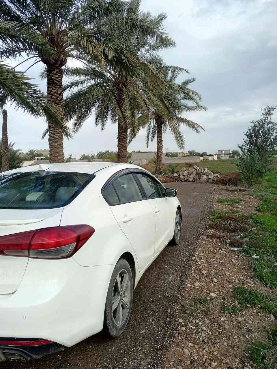 السلام عليكم فورتي 17 البيع رقم ديالى شرط التحويل سيارة خير من الله كير ومحرك كفاله سيارة فول مواصفات من عده البصمه والفتحه سيارة مال جناي بدون داخل وبدون تبديل بس الموضح بل سونار السعر خاص مكاني ديالى ورد مريكي الخالص ***********
