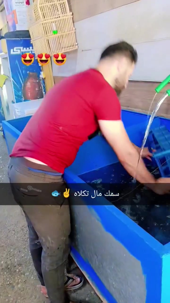انواع الاسمج والدجاج انسب الاسعار اكو خدمه توصيل ***********
