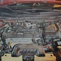 النترا امريكي • ٢٠١٠ • رقم ديالى