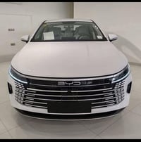بي واي دي ٢٥  زيرو اتعهد من السرقه بس ماكو مداور اتعهد كافة الاصوليات ...