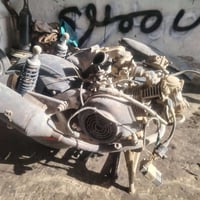 سكنس نثيه • كابريته • كلج امامي