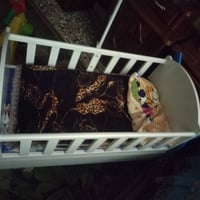 كاروك اللبيع سعر مناسب  0781 527 6249
