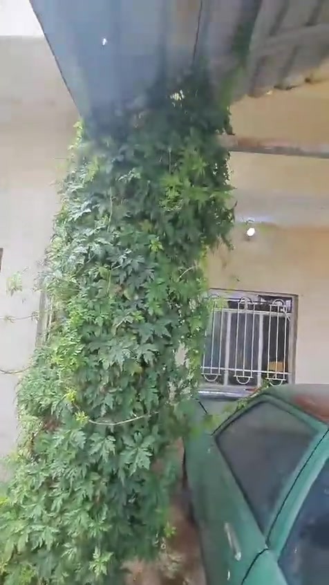 دار للبيع مساحه 210 بيت نظيف وجاهز كما موضح بالفيديوو
الموقع ميسان حي الحسين الجديد قرب السايدين مال شارع الادات الاستفسار اتصل على الرقم ***********
