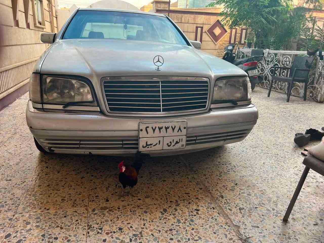 السلام عليكم من رخصه مدير الادمن مارسدس موديل 1992 شبح محرك 6 سلندر بلاد تابوت فتحه كير جديد بدون صبغ بلاد بلاد السياره رقم أربيل ترهم  مراوس وبيع وانطي  فرق مكاني الكاضميه السعر 60 وبيه مجال حك الجيه 

رقمي ***********
