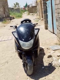 ماجستة • مكينة نامة • زنون