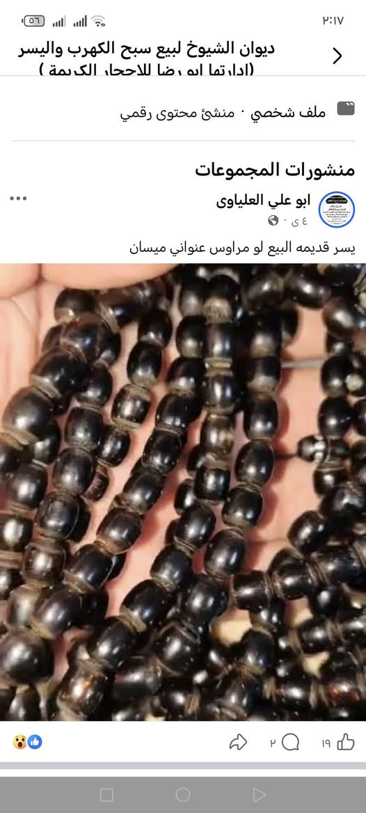 شباب هاذ قفاص 56 قفص علي بسبح يكلي حجازي وهوة مصري


**إذا كنت صاحب هذا الإعلان وتريد حذفه لأي سبب، رجاءا أرسل رسالة إلى الدعم الفني**
