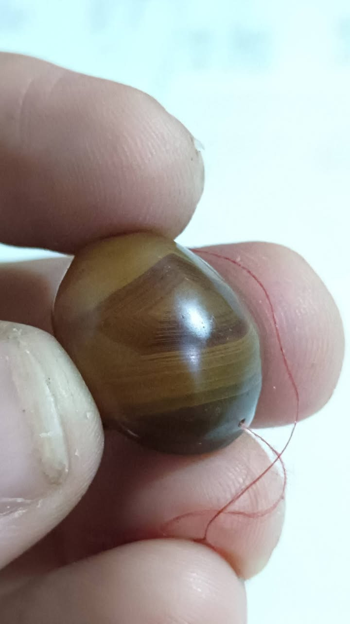 السلام عليكم ورحمه الله 
للبيع صارلهن فترة طويلة عدنا ما نعرف مصدرهن .
ذي قار الشطرة .
للعلم كلهن مزرفات .
اليرغب بشرائهن واتساب 
 ***********
