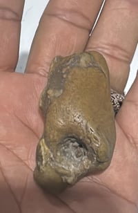 حجر سلطاني