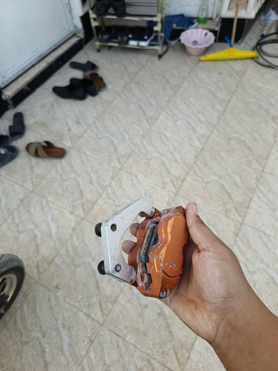 العنوان بابل حله مركز مدينه اغرض ماكس تفصيخ بسعار مناسبه كلب بصور وشوف كومه أغراض ماكو خاص بس وتساب الرقم ***********
