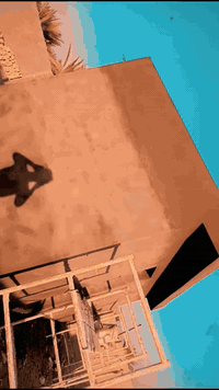 الباخ متفرغ حالين بل حله واهذء شغلي كدامك سمنت جص بورك وعل يويه هم اطلع ورزاق حي نشالله ***********
