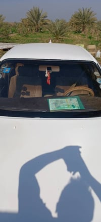 ١٩٩١ • رقم انكليزي • سنويه ٢٠٣٠