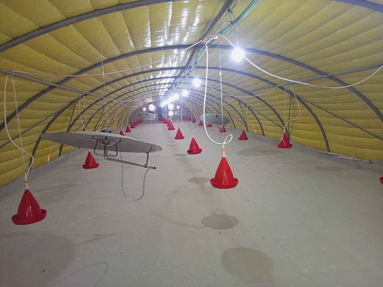 السلام عليكم حقل دواجن للبيع طول ٤٤ متر العرض ٩ الحديد جديد المعالف المنهال العازل جادر لايلون حاضنات خزانات ماء تاسيس كهرب تاسيس ماء غراض قاعه كامل جاهز مابي اي نقص سعه ٦ تالاف دجاج عنوان موصل 
***********
***********
***********
