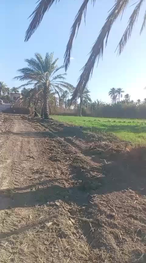 قطعه أرض للبيع دونم ونص لمكان رشيده قرب مدرسه الوطن العربي للاستفسار ***********
