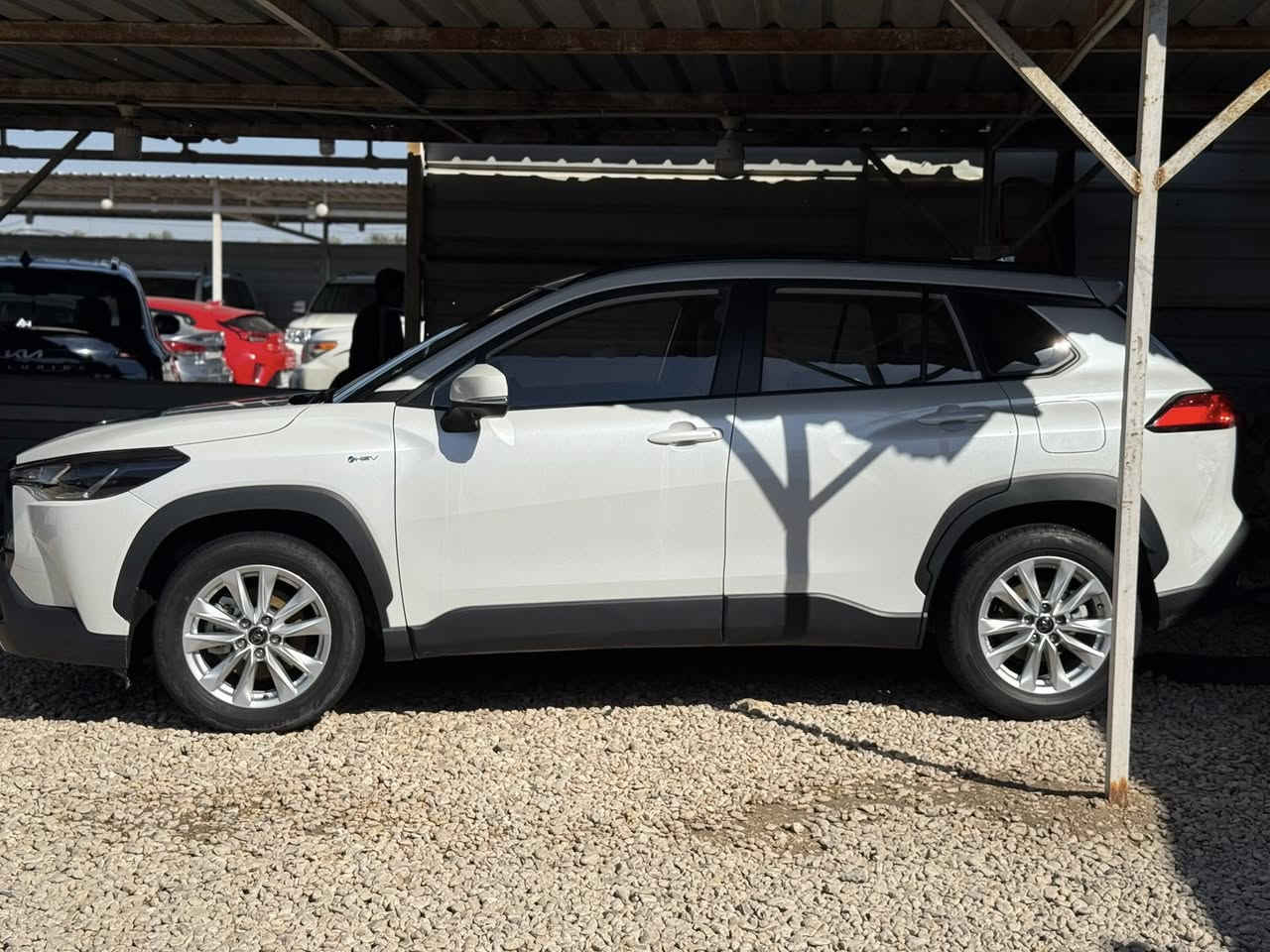 للبيع كورلا كروز 2025 هايبرد فول خمس كامرات زعانف جنطه كهرباء كشنات جلد مشمشي رقم بغداد ماشيه ١٧ الف سونار مرفق بالمنشور بيه رصعتين بالجاملغ وساحبيهن بدي ار السياره جديده السعر ١٧٥ ومحاله قليل اتصال *********** مكانه بابل معرض الوطن لتجارة السيارات الحديثة طريق حله - نجف
