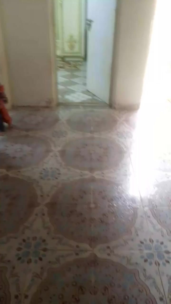 السلام عليكم بيت 160 متر حي الحسين قرب بنات الحسن شارع أبو علي للبيع يحتوي البيت على غرفتين وصالة وبراني ومطبخ وصحيات وممر السعر خاص الاتصال هذه الارقام ***********  ***********
