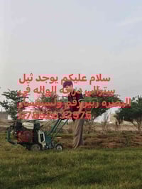 ثيل استرالي • البصرة زبير • جودة عالية