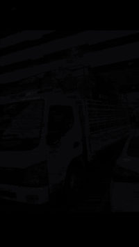 نقل أثاث • داخل بسمايه • نجار