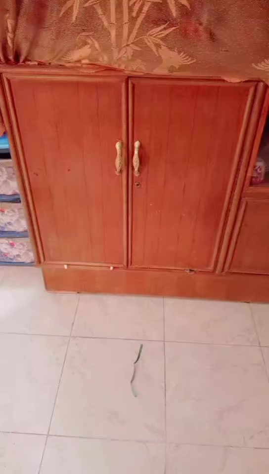 السلام عليكم بوفيه كلش نظيفه مترين ونص اريدها 140 وبيها مجال بغداد الكاظميه


**إذا كنت صاحب هذا الإعلان وتريد حذفه لأي سبب، رجاءا أرسل رسالة إلى الدعم الفني**