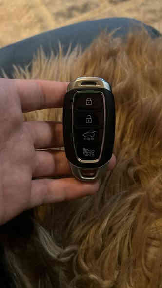 يالله سلام عليكم بصمة كونا 2021 اصليه تفصيخ سعره 35 استفسار اتصل على هذا الرقم وتدلل *********** او راسلني ماسنجر او واتساب
