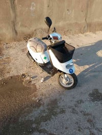 بطه 60 • تخبل • مجال قليل