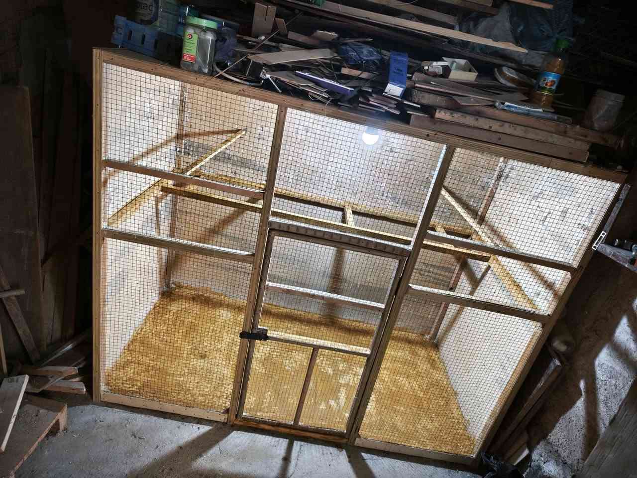 قفص طول متر ونص ارتفاع متر و20 نزال 80 

سعر 60


**إذا كنت صاحب هذا الإعلان وتريد حذفه لأي سبب، رجاءا أرسل رسالة إلى الدعم الفني**