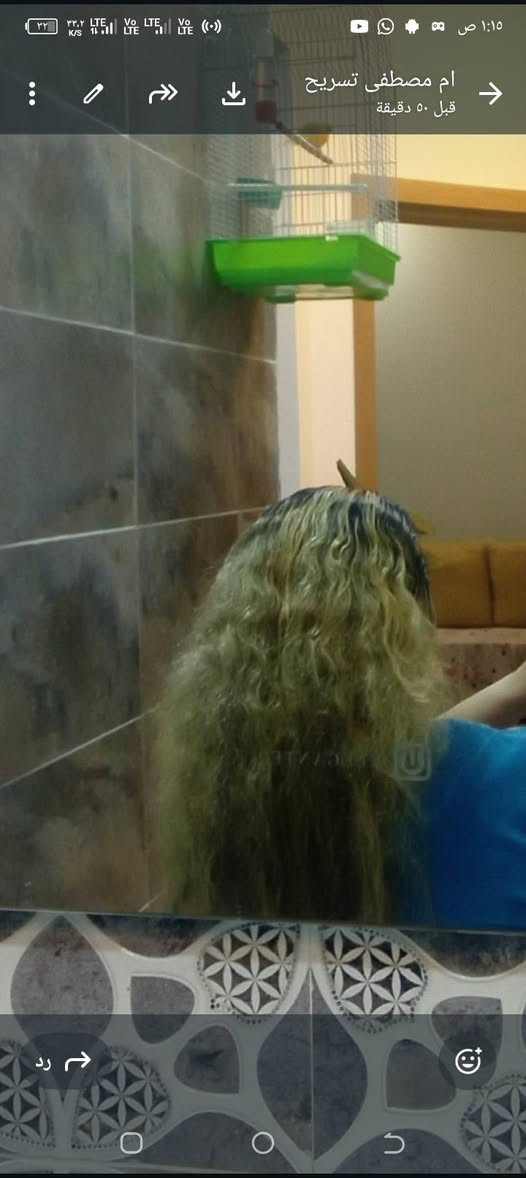 بنات حبايب لتريد حفافة تنضيف بشره وصبغ شعر صبغ حاجب تسريح ومعالج لشعر اني اشتغل بلبيت 
تنضيف قدم بدكير 
عنوان كوت الزهرااا بضهر اسواوق
سلام القريشي


**إذا كنت صاحب هذا الإعلان وتريد حذفه لأي سبب، رجاءا أرسل رسالة إلى الدعم الفني**