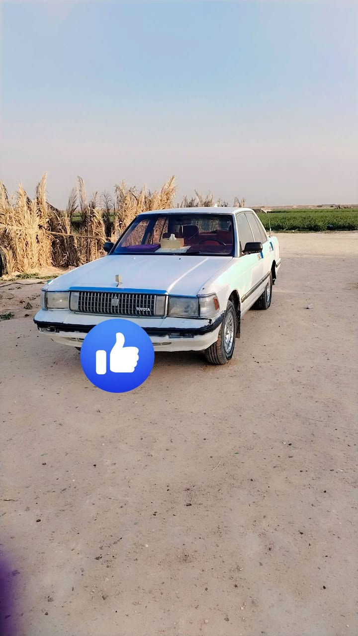 سلام عليكم سيدانه للبيع رقم نكليزي مثنى مكان السماوه الخضر السعر 40 وبيه مجال ***********
