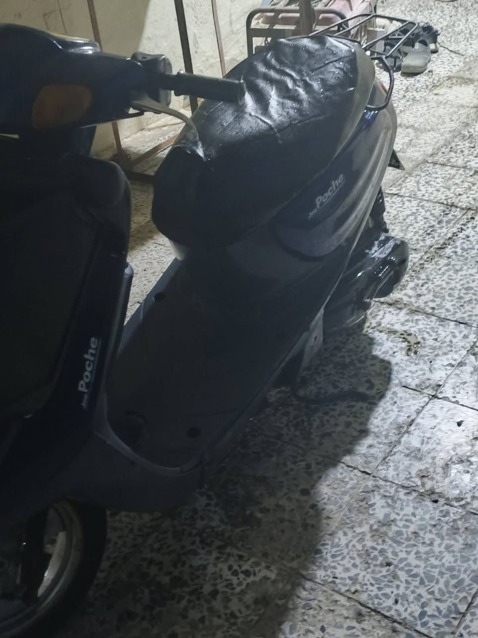 منغولي ام السله للبيع ***********
