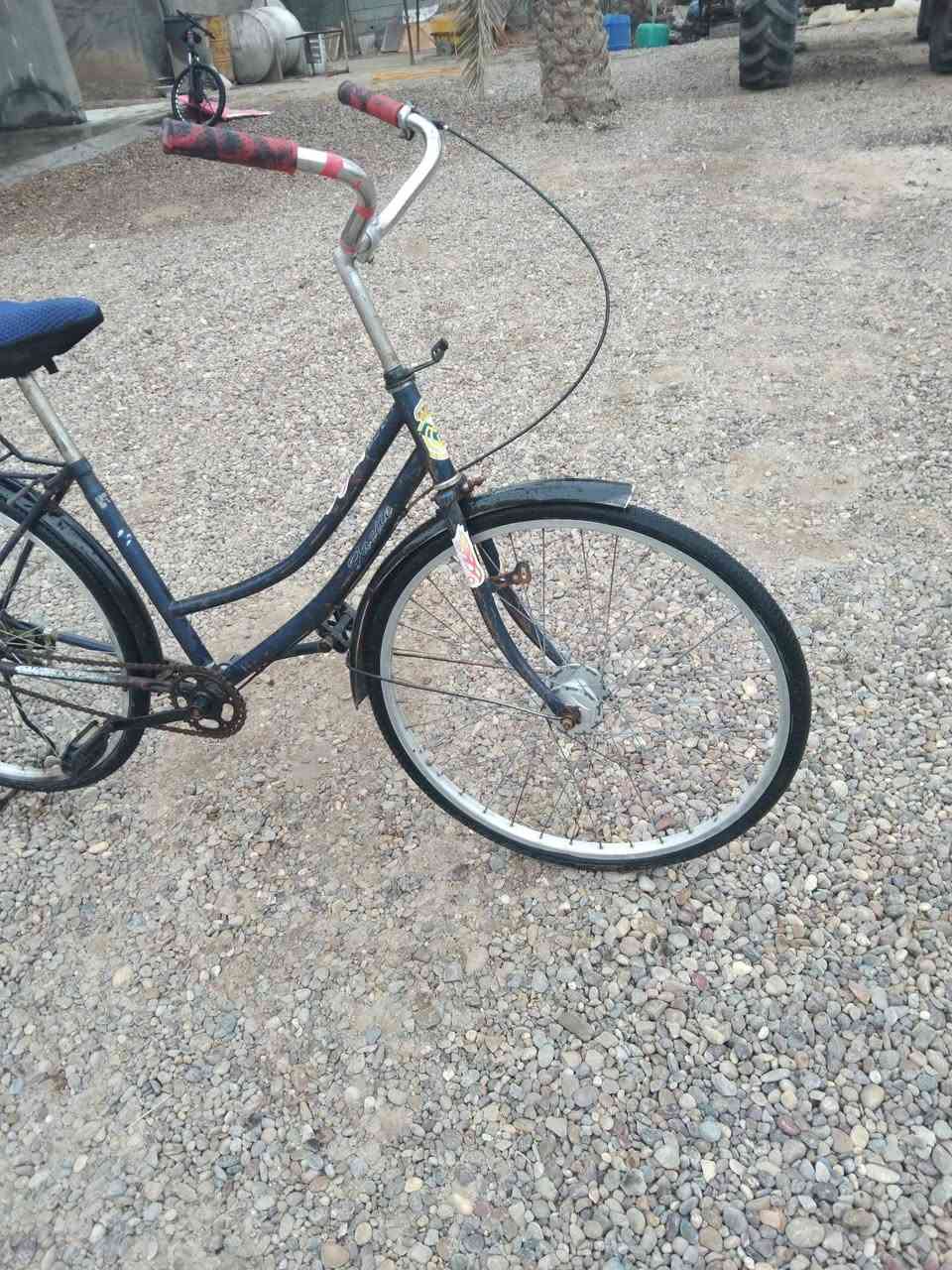 سلام عليكم باسكل حجم 26 للبيع السعر 60 وبي مجال المكان بغداد المحموديه حي العسكري الرقم ***********
