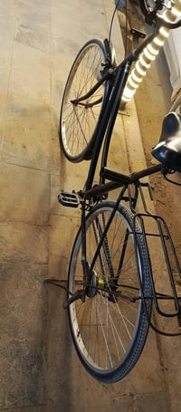 باسكل • مقاس ٢٧ • مستخدم