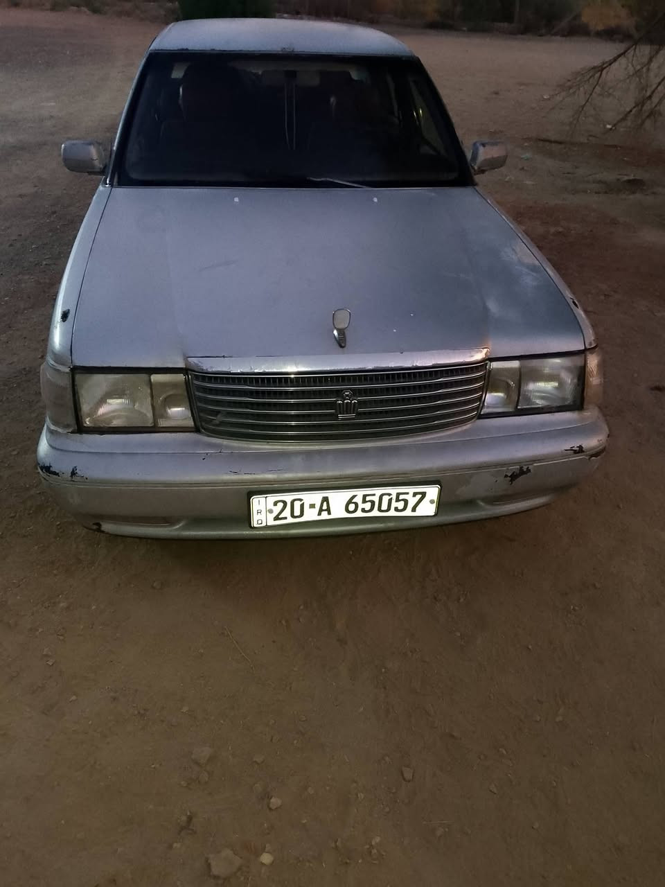 ارنب للبيع مديل 95 مكفول كصه نقل جثه بسمي رقم دولي لاستفسار لاتصال ***********
