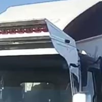 شاحنة • فغانية • جديدة