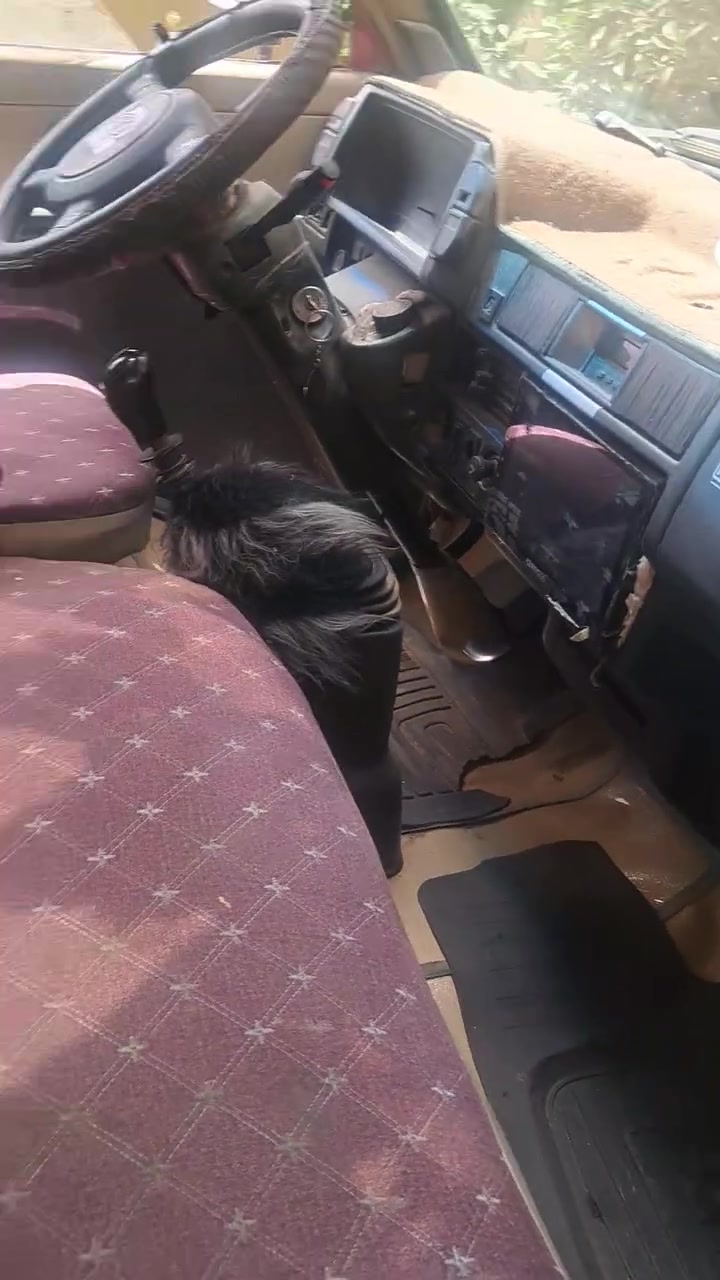 سلام عليكم كيا ٩٥سياره جاهزه باتري جديد سلف جديد داينمو جديد كير محرك خير من الله سنوية باسمي تنتهي شهر ١٢ سياره جاهزه كبل للشارع سعر ٤٠وبيه مجال مكاني شعلة سلاميات***********
