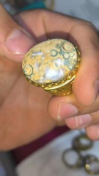 داودي ملكي • قطع متعددة • للبيع