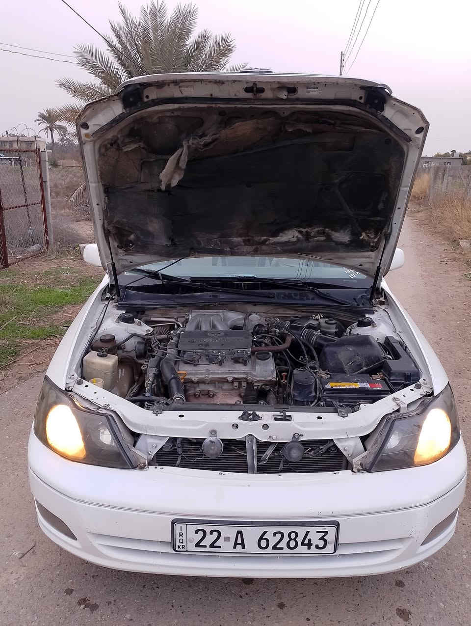 السلام عليكم
للبيع. افلون . موديل 2000.صبغ 3قطع .كفاله من الحادث كير مكينه .جدد داخل جديد.تخم تاير جدد . كهربائيات كلها شغاله.صدرين امامي خلفي جديد. السياره بيها نصبه تخبل .
مكان السياره صلاح الدين بلد السعر 85وبيها مجال قليل..
+***********
