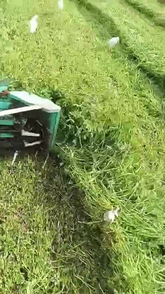 لو عاوز ترتاح جرب شغل الشبح وانت ترتاح


**إذا كنت صاحب هذا الإعلان وتريد حذفه لأي سبب، رجاءا أرسل رسالة إلى الدعم الفني**