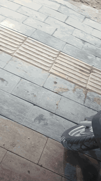 لبيع ماكس منغولي شلعه ومعدل مل حوريه على يدي ***********
