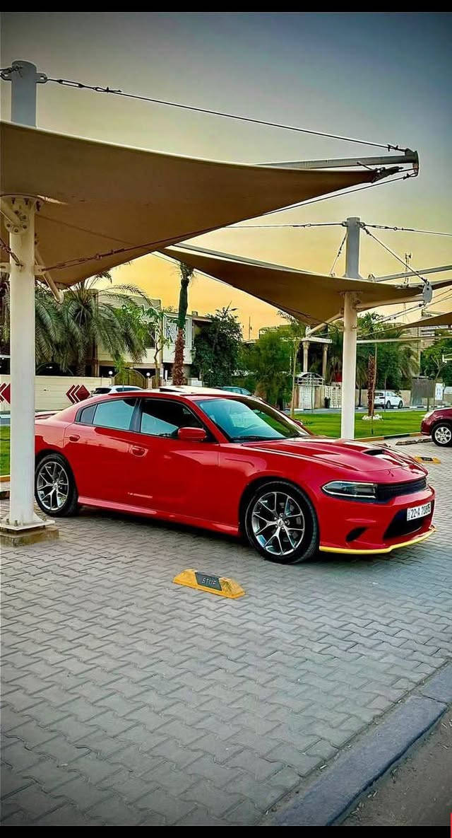 جارجر GT  للبيع او المراوس 
السياره عليها ادامه كامله بل شركه 
تخم تاير جديد صدر جديد 
باتري جديد 
الرقم اربيل بأسم شركه هارلم 
سنويه ورقم جديد 
الموديل : 202٣. (خليجي) . 
وكاله هارلم 
السياره كفاله عامه من الصبغ والتبديل والبارد
الون : أحمر طماطي
المحرك : V6.  3.6L .
المواصفات :
* شاشه كبيرة مع نظام ملاحة GPS .
* الشاشة مع اوپشنات SRT . 
* سستم صوت الپاين مع سماعات پريميوم .
* فتحت سقف (سلايد) . 
* مقاعد جلد رياضية . 
* مقعد السائق كهربائي . 
* حساسات خلفية . 
* تشغيل عن بعد . 
* محدد سرعة . 
* تلفون بلوتوث . 
* كاميرا خلفية .
* مرايا متحسسة للاضاءة العالية .
* كير شفتر بالستيرن . 
* دخول ذكي (بصمة) .
العنوان : بغداد العبيدي

الهاتف : ***********
مغلفه : PPF ضمان 10 سنوات
سعر  : ٢٧٥ بيه مجال مال مستعجل كلش واتساب ماعندي
