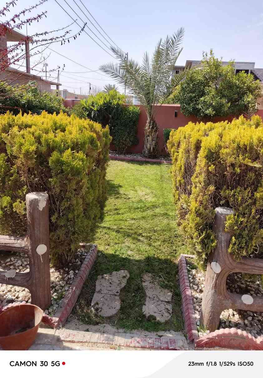 السلام عليكم اشتغل جميع الحدائق والبساتين  وتنظيف الحدائق من الدغل وتقليم الأشجار وزرع الشتل وقص الحدائق بل مكينه عل نمره وحدة وقص الأشجار الكبار  كادر متميز وسريع إتصل رقم الهاتف***********
