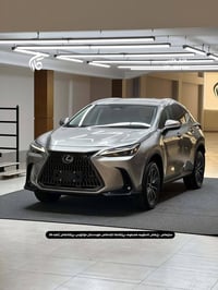NX250 • ٢٠٢٥ • ٨٠٥٠ ميل