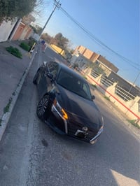 التيما SV • ٢٠٢٤ • اربيل