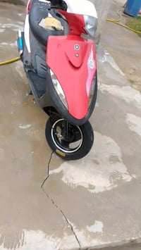 دراجة ماكس • وارد من الحاوية • الوركاء