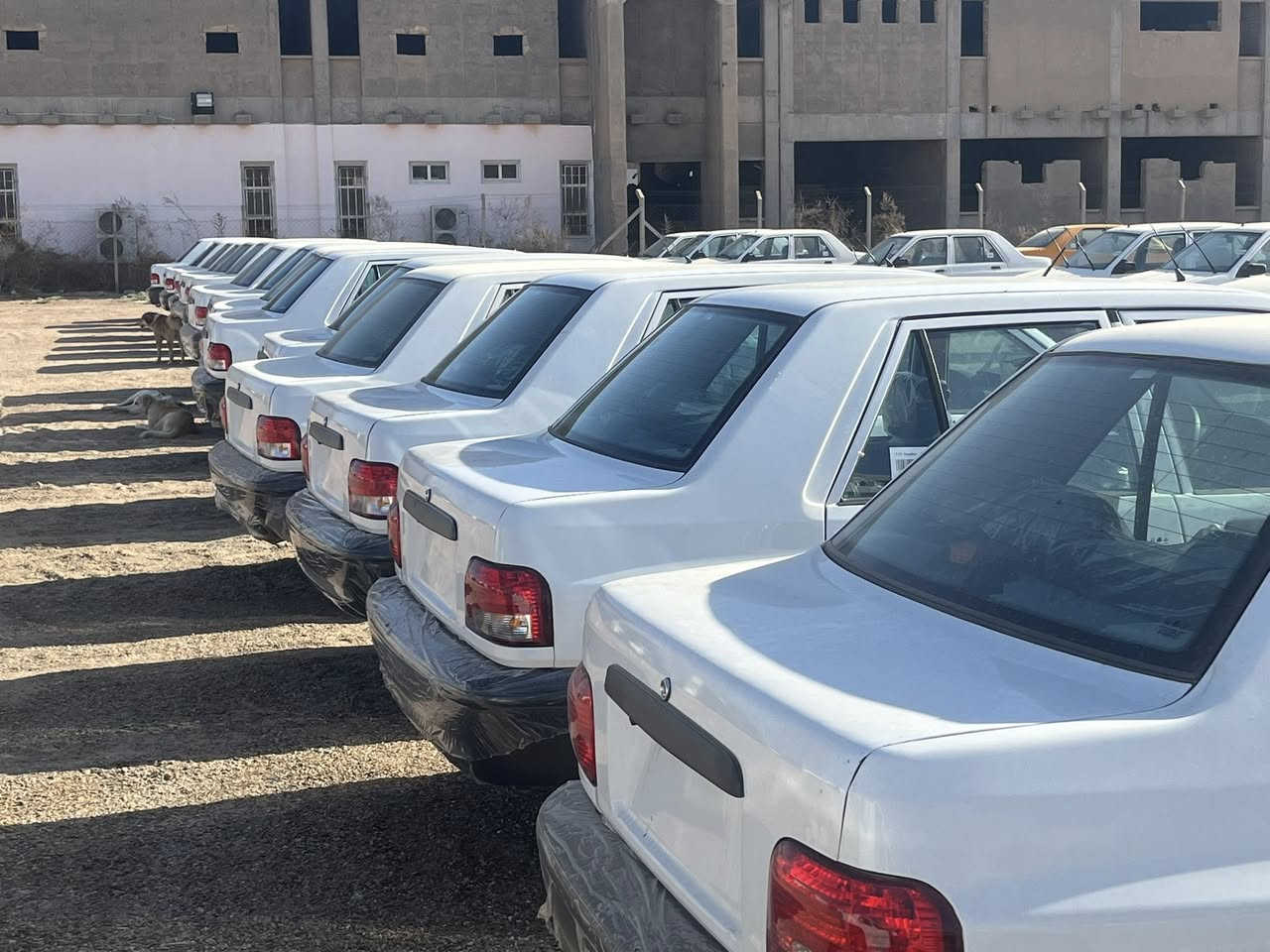 وصول وجبه جديده نوع سايبا موديل 2026 زيرو
البيع نقد فقط و لايوجد غير النقد

لون ابيض 

استلام فوري شركه العامه للسيارت الإسكندرية 

فرع بغداد ***********

فرع الإسكندريه ***********
