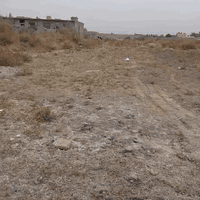 قطعه زراعي سند 25بضهر بيت رويد الواجهه 14 ونزال 20  الكامل 280 ويوجد ل...