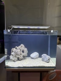 حوض زينة • فلتر وأوكسجين • ٥٠×٣٦×٣٠سم