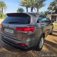 ٢٠١٦ • ديوانية • وارد امريكي