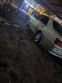 شباب ملكه لون ابيض خضراوي  للبيع رقم بغداد دولي قرار 48 بسمي تحويل ثان...