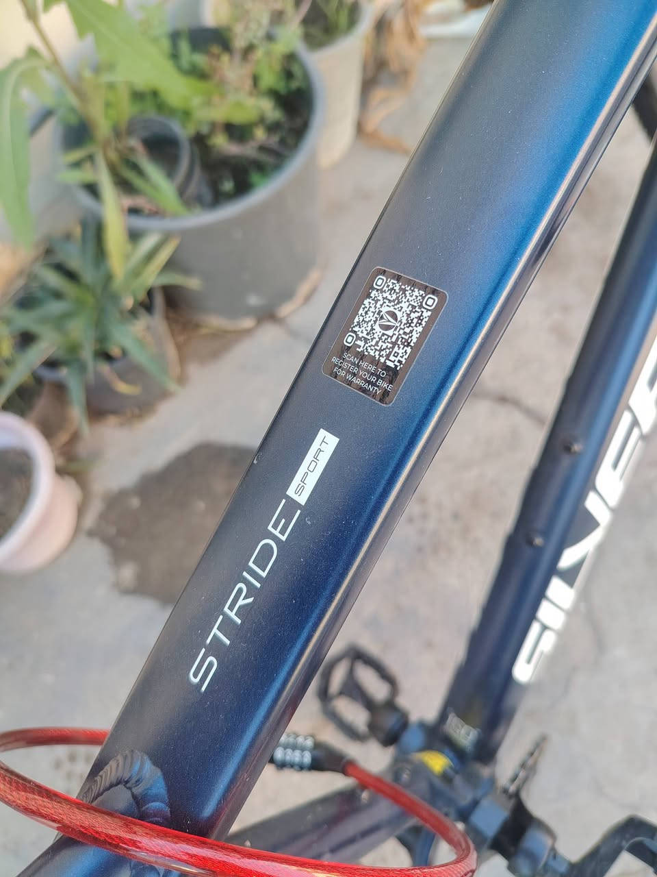 سلام عليكم
باسكل وكاله
ألماني
مستخدم يومين فقط
مكاني بغداد
السعر 580 بي مجال شراي فقط
الاتصال ***********
