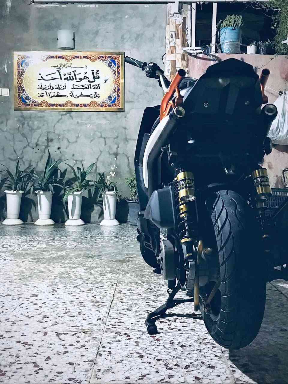 للبيع سكنس جبلي بوشه 58بلاد  دراجه بيها خلل بل كلجات شلعتها مو قويه 
مكاني الحسينيه مال راشديه 
سـعر مليون وبيها مجال رقمي ‭***********‬
