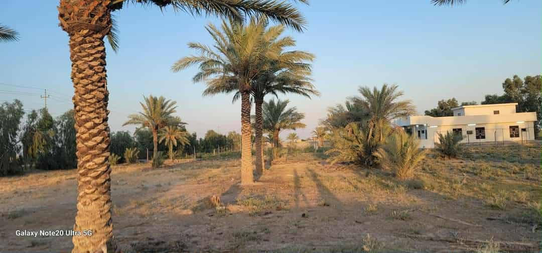 ارض للبيع طابو سند 25 جاهزه ومخدومه من كلشي
العنوان تاجي ذراع دجله مدينة سبع البور وسعر الدونم 
الواحد 30 مليون وقابل للتفاوض مخدومات من ماء اساله 
وسقي وكهرباء ومدارس وسوك ومزارع قريبه فتح بيان بأسم 
المشتري للاستفسار متوفر واتساب بلرقم *********** تواصل على هاذ الرقم متوفر بي واتساب بأي وقت نشرف 📍
